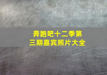 奔跑吧十二季第三期嘉宾照片大全