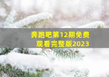 奔跑吧第12期免费观看完整版2023