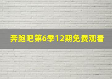 奔跑吧第6季12期免费观看