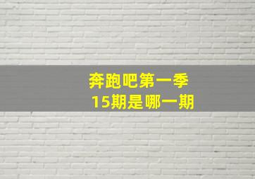 奔跑吧第一季15期是哪一期