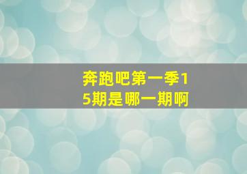 奔跑吧第一季15期是哪一期啊