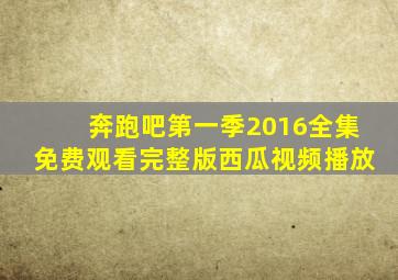 奔跑吧第一季2016全集免费观看完整版西瓜视频播放