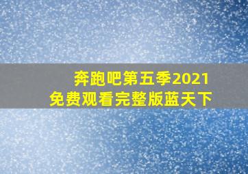 奔跑吧第五季2021免费观看完整版蓝天下