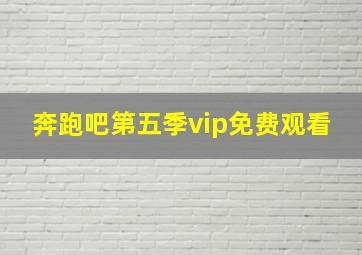 奔跑吧第五季vip免费观看