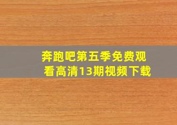 奔跑吧第五季免费观看高清13期视频下载