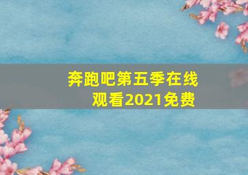 奔跑吧第五季在线观看2021免费