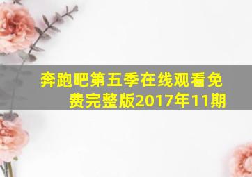 奔跑吧第五季在线观看免费完整版2017年11期