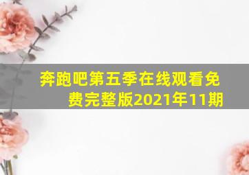 奔跑吧第五季在线观看免费完整版2021年11期