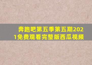 奔跑吧第五季第五期2021免费观看完整版西瓜视频