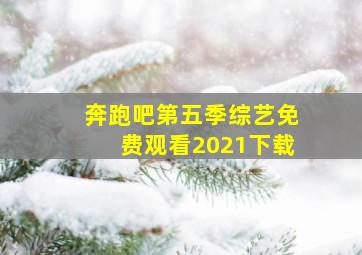 奔跑吧第五季综艺免费观看2021下载