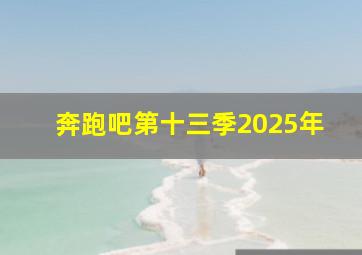 奔跑吧第十三季2025年