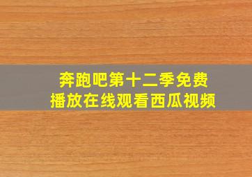 奔跑吧第十二季免费播放在线观看西瓜视频