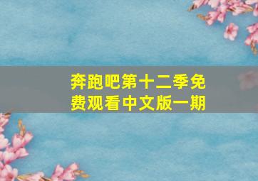 奔跑吧第十二季免费观看中文版一期