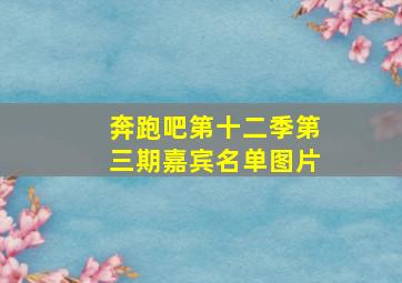 奔跑吧第十二季第三期嘉宾名单图片