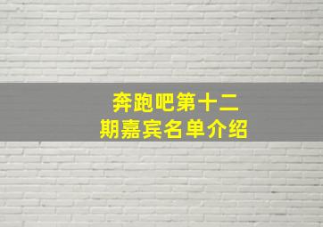 奔跑吧第十二期嘉宾名单介绍