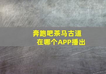 奔跑吧茶马古道在哪个APP播出