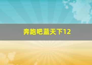 奔跑吧蓝天下12