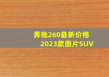 奔驰260最新价格2023款图片SUV