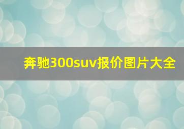 奔驰300suv报价图片大全