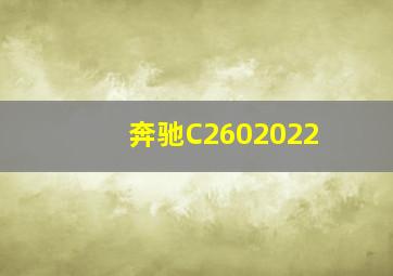 奔驰C2602022