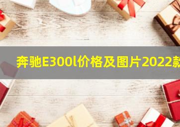 奔驰E300l价格及图片2022款