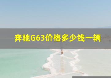 奔驰G63价格多少钱一辆