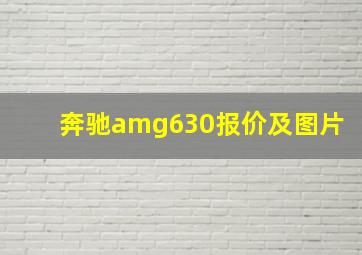 奔驰amg630报价及图片