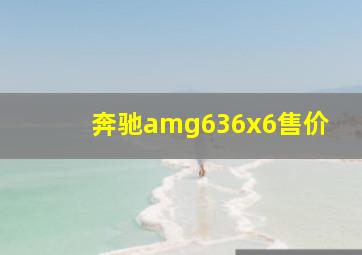 奔驰amg636x6售价