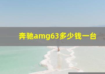 奔驰amg63多少钱一台