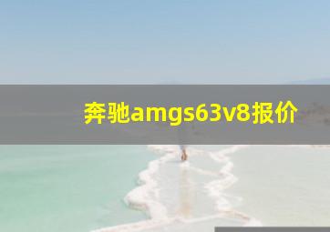 奔驰amgs63v8报价