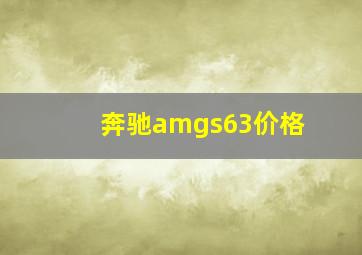 奔驰amgs63价格