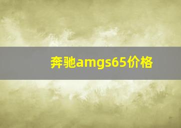 奔驰amgs65价格