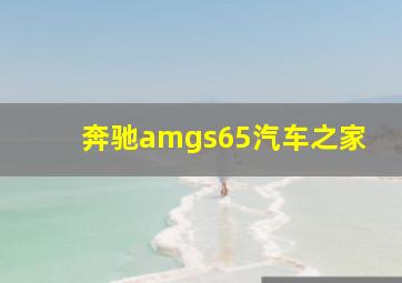 奔驰amgs65汽车之家