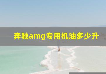 奔驰amg专用机油多少升