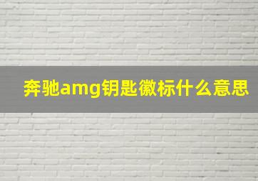 奔驰amg钥匙徽标什么意思