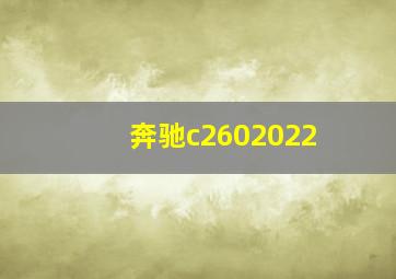 奔驰c2602022