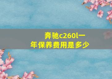 奔驰c260l一年保养费用是多少