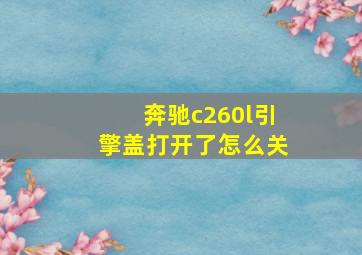 奔驰c260l引擎盖打开了怎么关