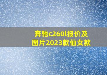 奔驰c260l报价及图片2023款仙女款