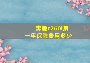 奔驰c260l第一年保险费用多少