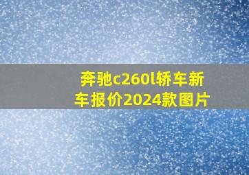 奔驰c260l轿车新车报价2024款图片