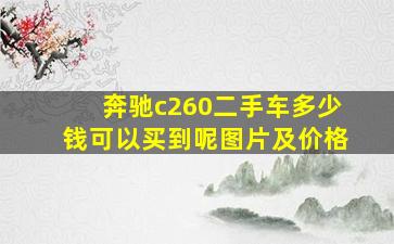 奔驰c260二手车多少钱可以买到呢图片及价格