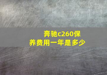 奔驰c260保养费用一年是多少