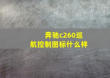 奔驰c260巡航控制图标什么样