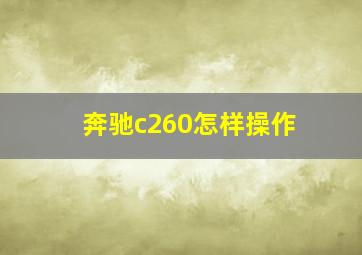 奔驰c260怎样操作