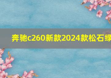 奔驰c260新款2024款松石绿