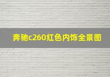 奔驰c260红色内饰全景图