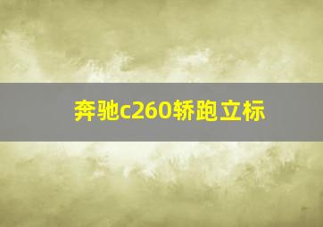 奔驰c260轿跑立标