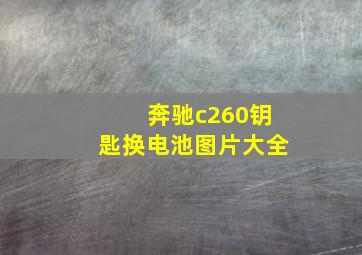 奔驰c260钥匙换电池图片大全