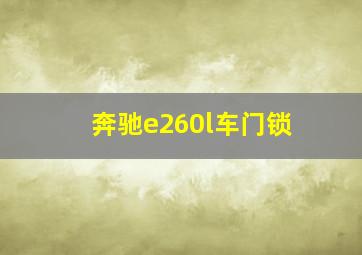 奔驰e260l车门锁